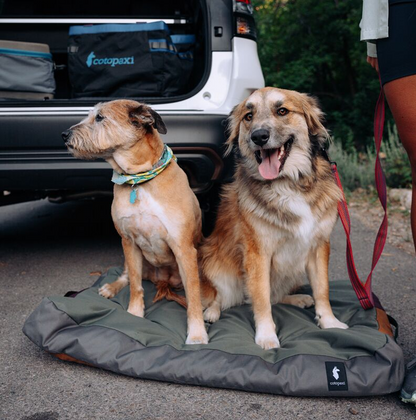 Del Día Dog Bed - US 7908