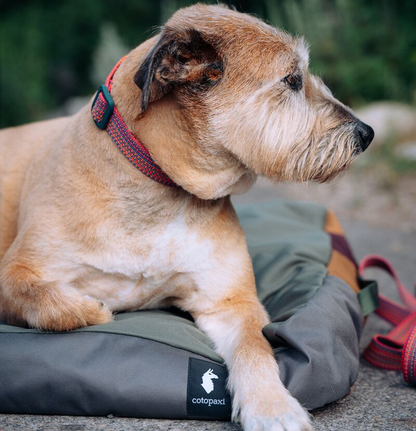 Del Día Dog Bed - US 7908