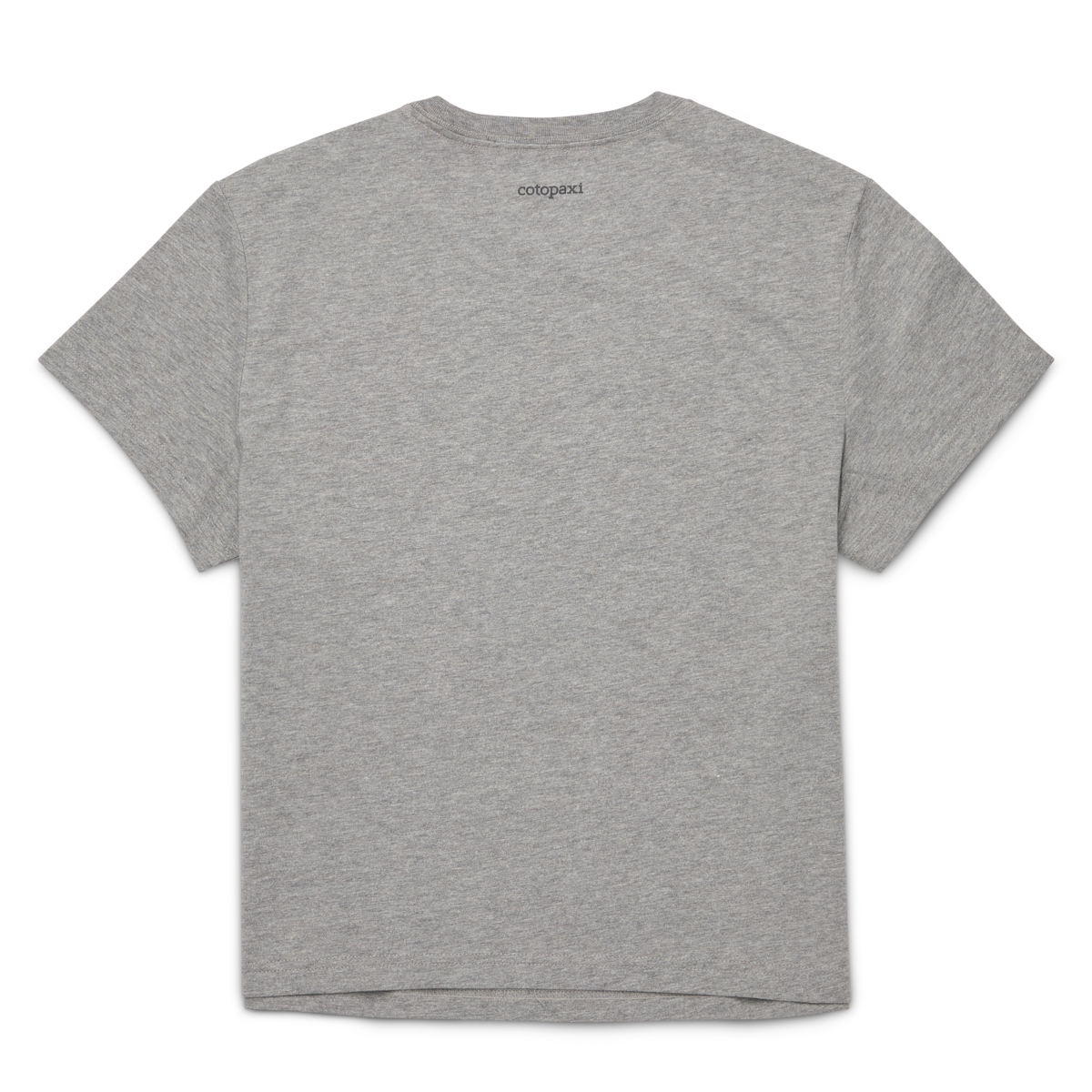 Llama Icon T-Shirt - Women's - Heather Grey - US 7463