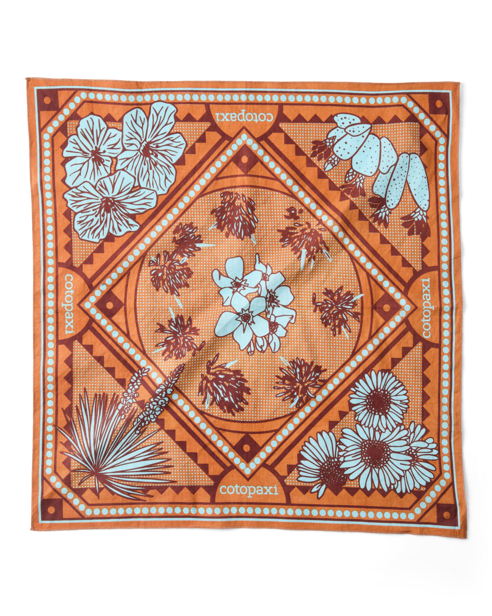 Organic Cotton Bandana - Desert llama - US 5936