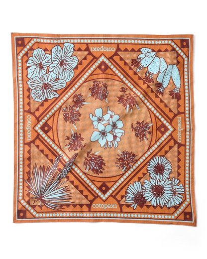 Organic Cotton Bandana - Desert llama - US 5936