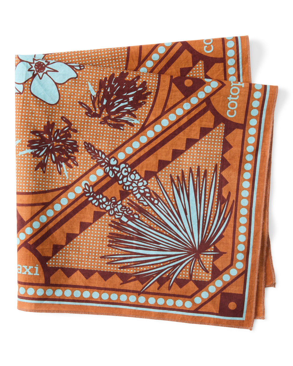 Organic Cotton Bandana - Desert llama - US 5936