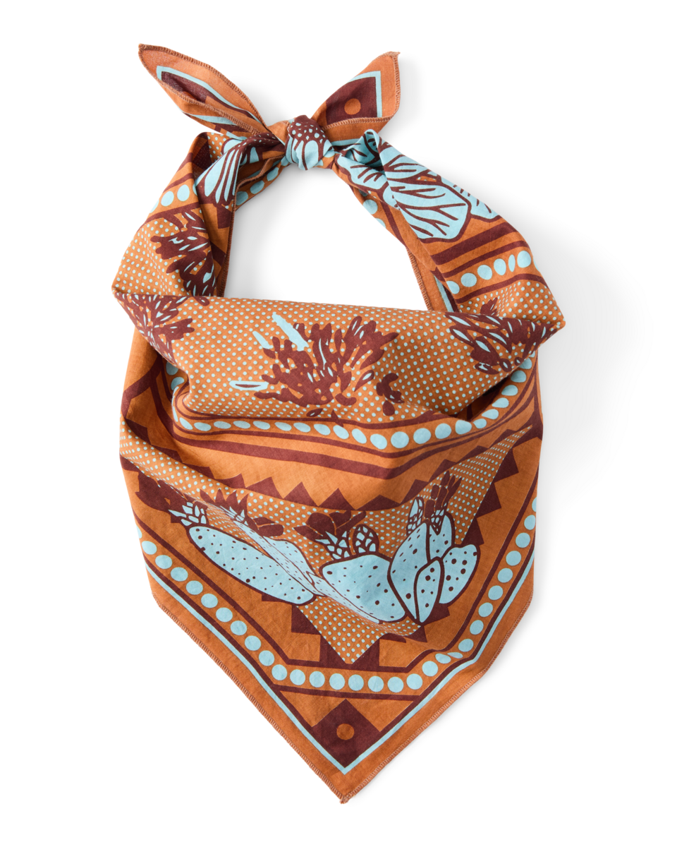 Organic Cotton Bandana - Desert llama - US 5936