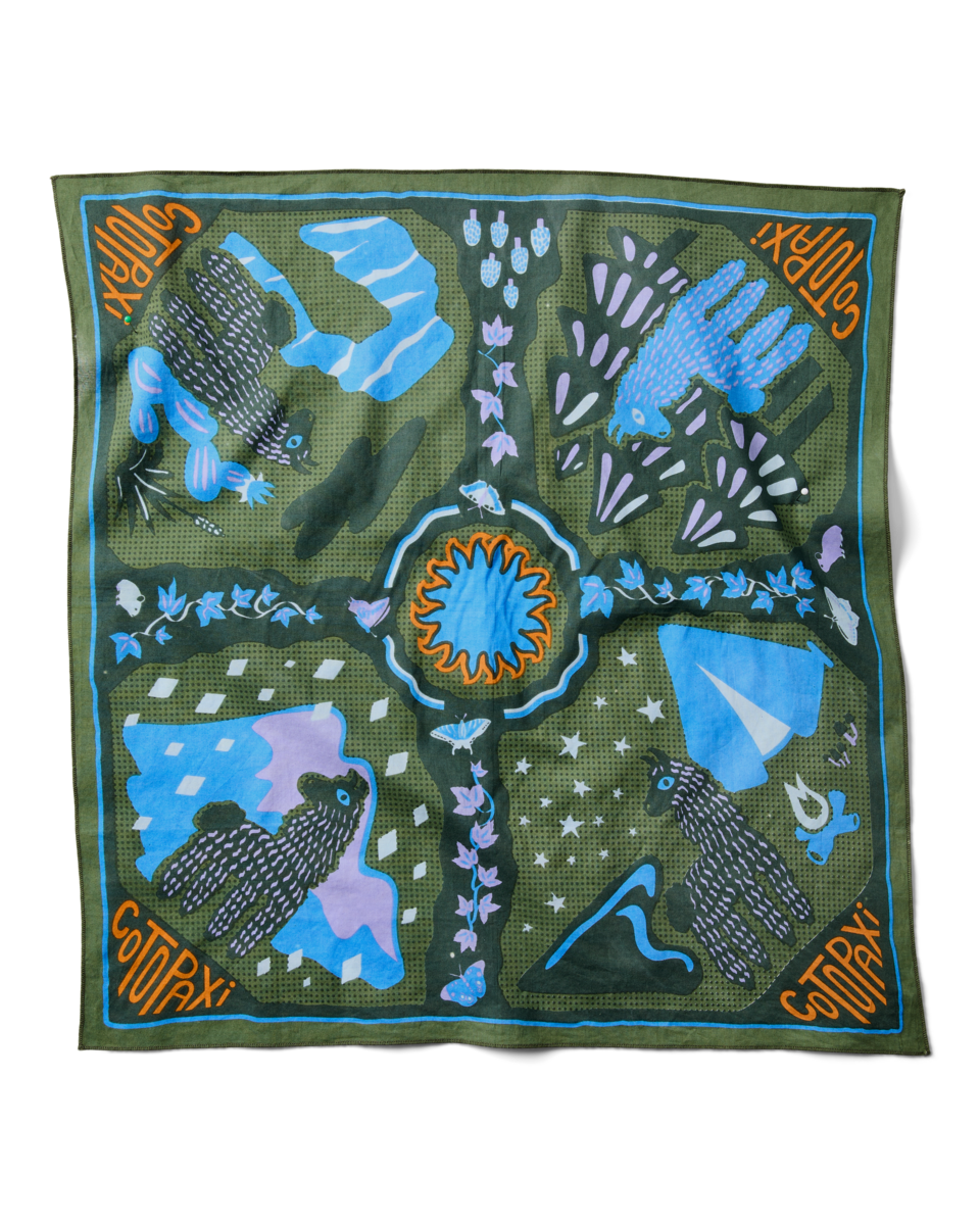 Organic Cotton Bandana - Llama Camp Bandana - US 6338