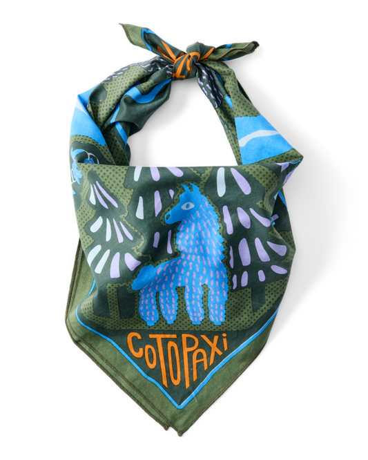 Organic Cotton Bandana - Llama Camp Bandana - US 6338